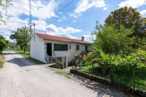 Apartments with a parking space Buzet, Central Istria - Sredisnja Istra - 17333